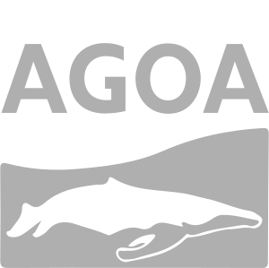 AGOA Logo